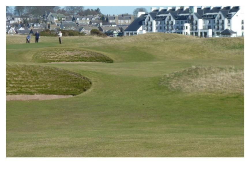 Park House Bed & Breakfast Carnoustie Exterior foto