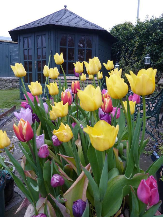 Park House Bed & Breakfast Carnoustie Exterior foto